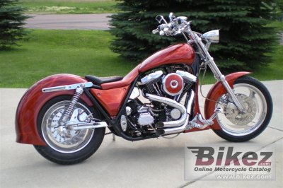 1991 Harley-Davidson Low Rider Convertible photo